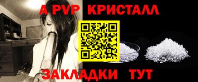 крисы Ливны