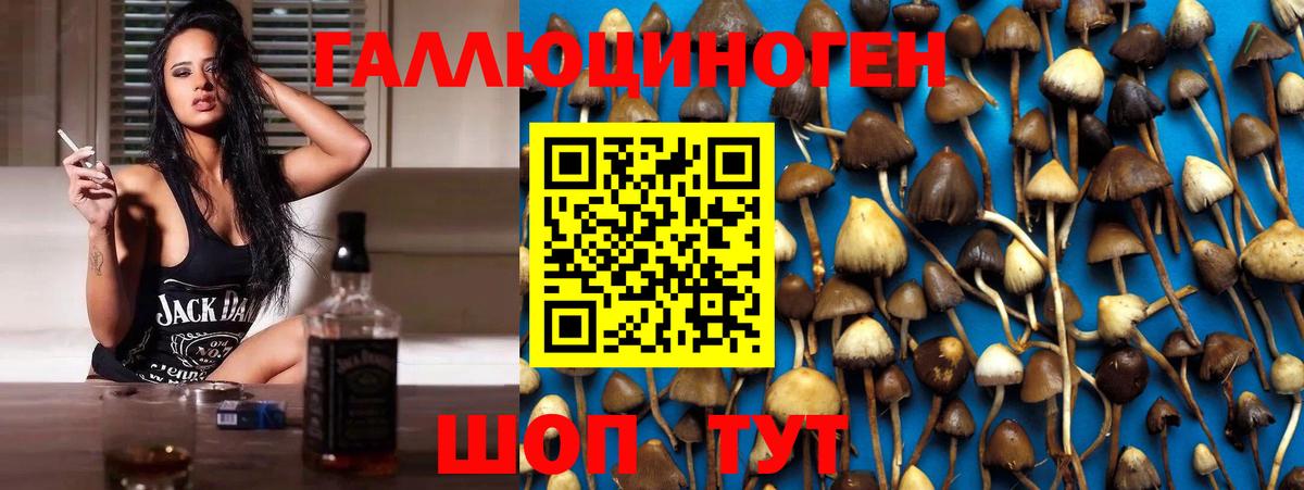 Псилоцибиновые грибы MAGIC MUSHROOMS  Вход с VPN  Усть-Джегута 