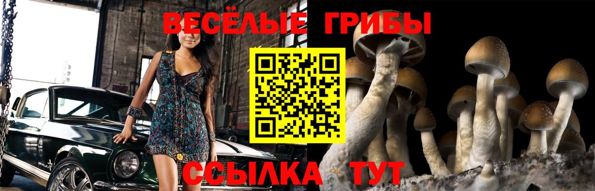 Галлюциногенные грибы Magic Shrooms Усть-Джегута